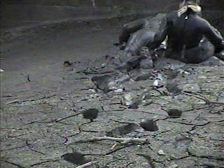 Rubber wetsuits in mud