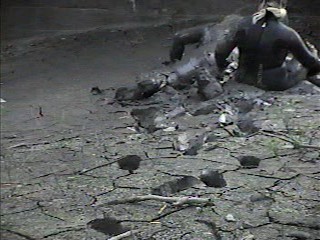 Rubber wetsuits in mud