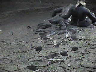 Rubber wetsuits in mud