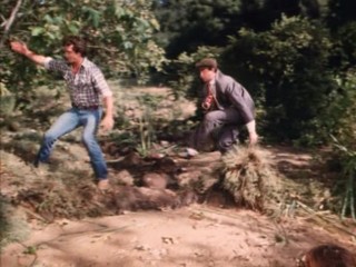 Daisy Duke Quicksand