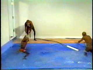 Japanese comedy show