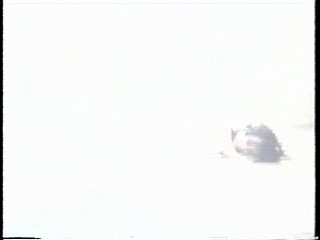 Vietnamese music video, Taiwan show