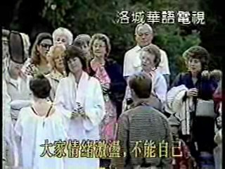 Vietnamese music video, Taiwan show