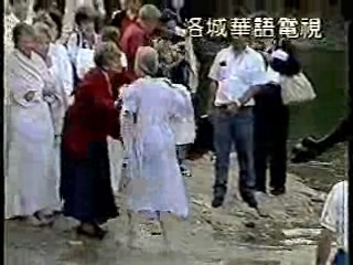 Vietnamese music video, Taiwan show