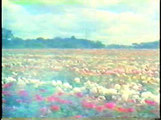 Hong Kong movie, Indian movie