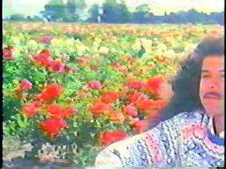 Hong Kong movie, Indian movie