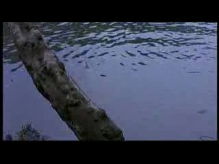 Blood on Satan's Claw (1971)