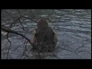 Blood on Satan's Claw (1971)