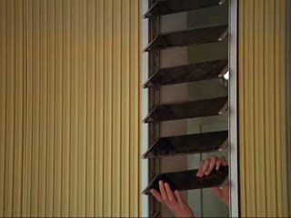 Something Wild, Moonlighting