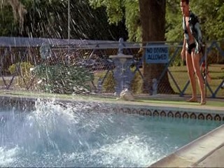 Something Wild, Moonlighting