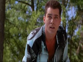 Something Wild, Moonlighting