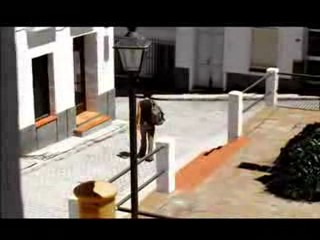 Nothing On But The Radio