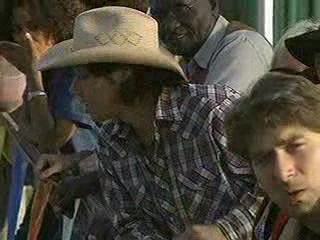 Darcy's Wildlife, Lucy Sullivan Is Getting Married