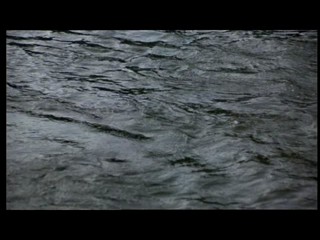 Friday the 13th: The Final Chapter