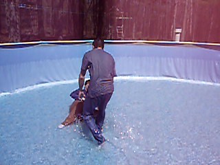 Pulling Jennifer around in the pool