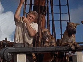 Swiss Family Robinson