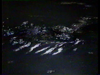 Charlie's Angels; alligator wrestling