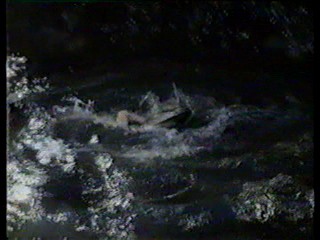 Charlie's Angels; alligator wrestling