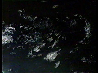 Charlie's Angels; alligator wrestling