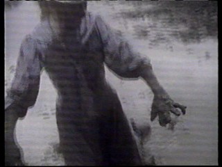 Anne of Green Gables:: The Sequel