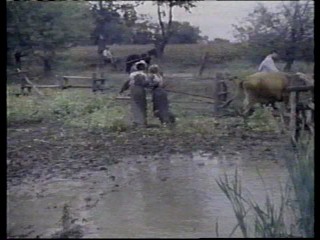 Anne of Green Gables:: The Sequel