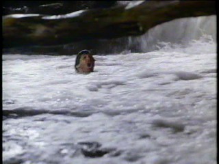 Remington Steele; At a Waterfall