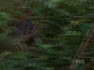 North Shore; Mud and Fountain Scenes