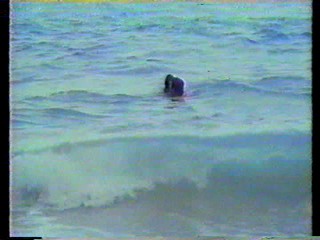 Swamp Buggy Queen,  Magnum P.I.