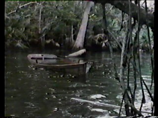 empire of the ants-swamp buggy queen
