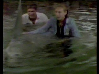 Jaws 3- Busting loose