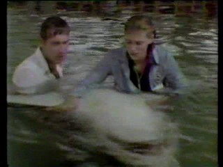 Jaws 3- Busting loose