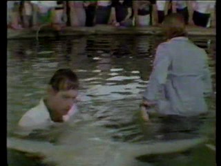 Jaws 3- Busting loose