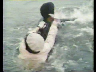 Jaws 3- Busting loose