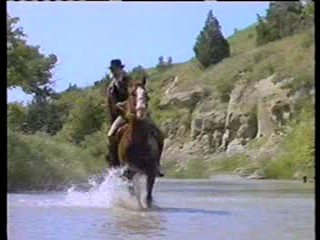 Swamp Buggy Queen,  Far and Away