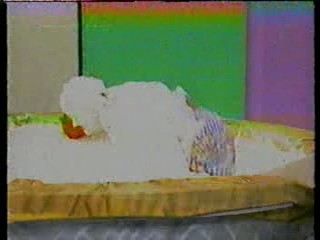 What Would You Do Pie Slide