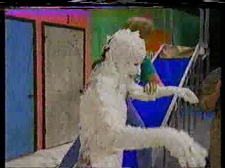 What Would You Do Pie Slide