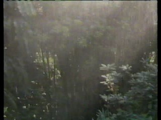 You Asked For It,  Yellow Sky