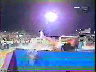 Swamp Buggy Beauty Queen Dunk,  Step by Step,  Intervilles (2)