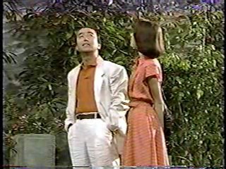 Japanese comedy show - wetlook and pies