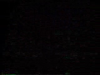 Japanese comedy show - wetlook and pies