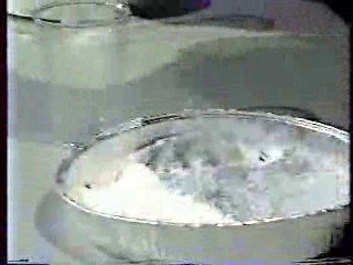 Intervilles, The Dukes of Hazzard,  and Jerry Springer