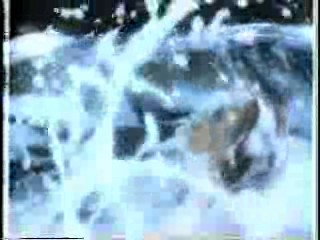 The Irish R.M.; Dad, Can I Borrow the Car