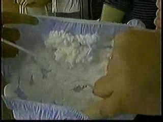 Women gets shaving cream on her head