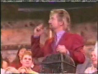 Budgie Killer Gunged (NHP)