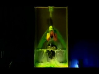 Miss Lawrence Gunged