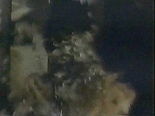 A Girl gets Tarred & Feathered