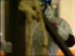 Celebrity Big Brother 4 mess