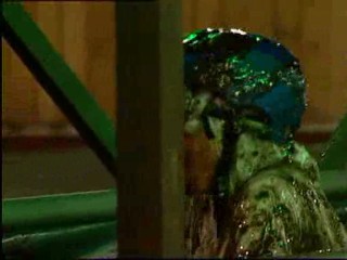 Celebrity Big Brother 4 mess