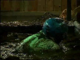 Celebrity Big Brother 4 mess