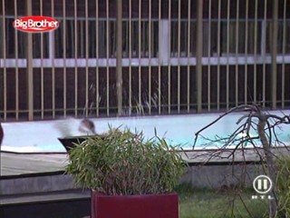 Big Brother - Germany